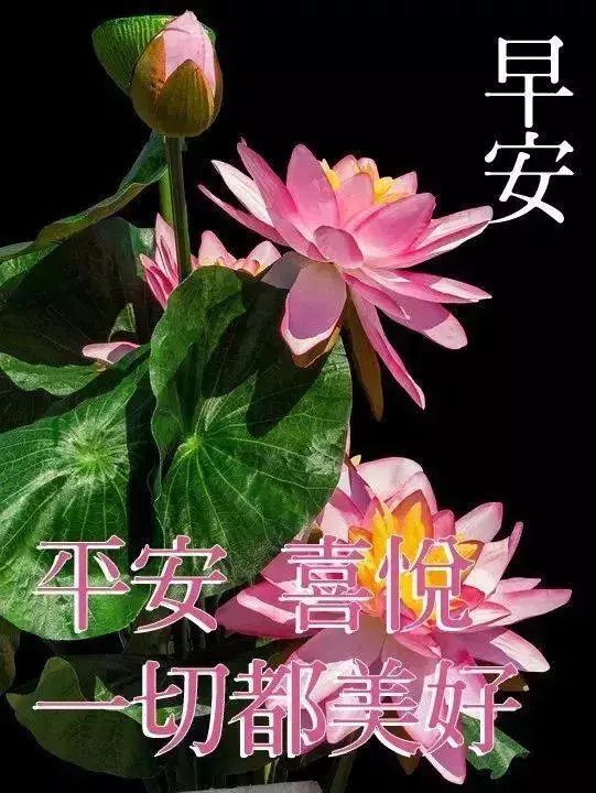 周四清晨问候早安动态祝福图片,微信早上好群发漂亮动态图片祝福