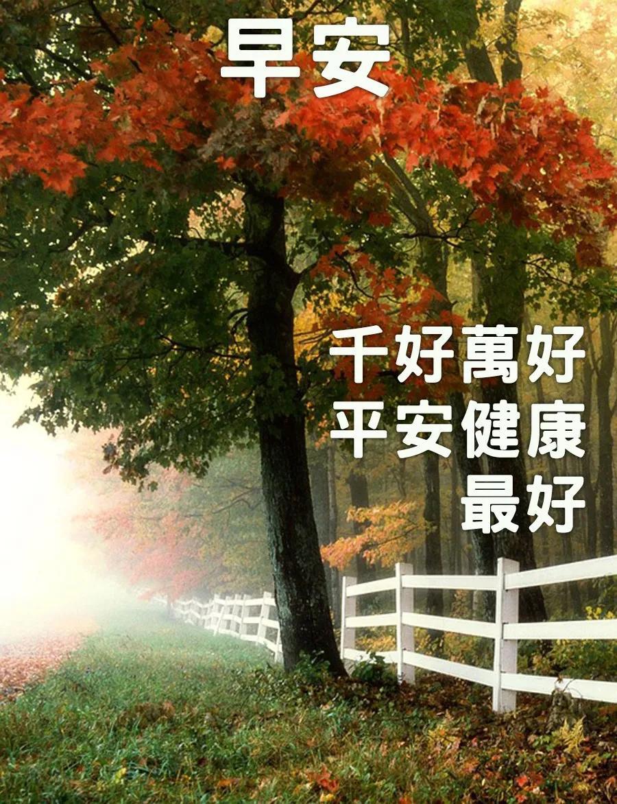 9月6日特别漂亮的动态图片祝福语,清晨问候早安动态祝福图片